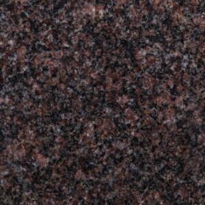 Indian Mahogany