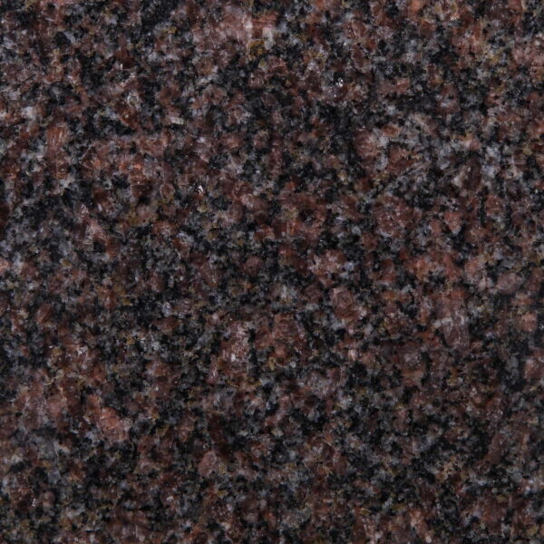 Indian Mahogany