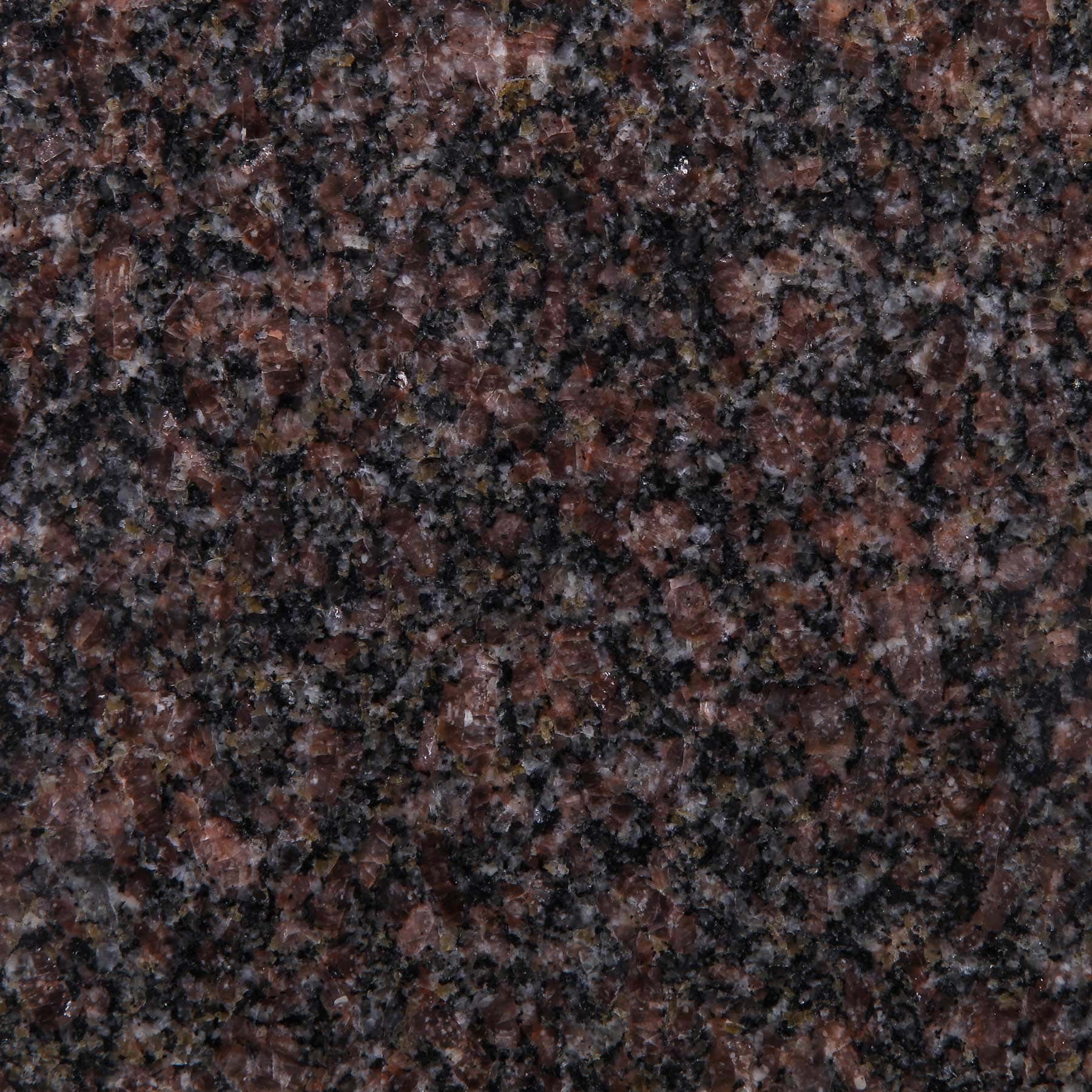 Indian Mahogany