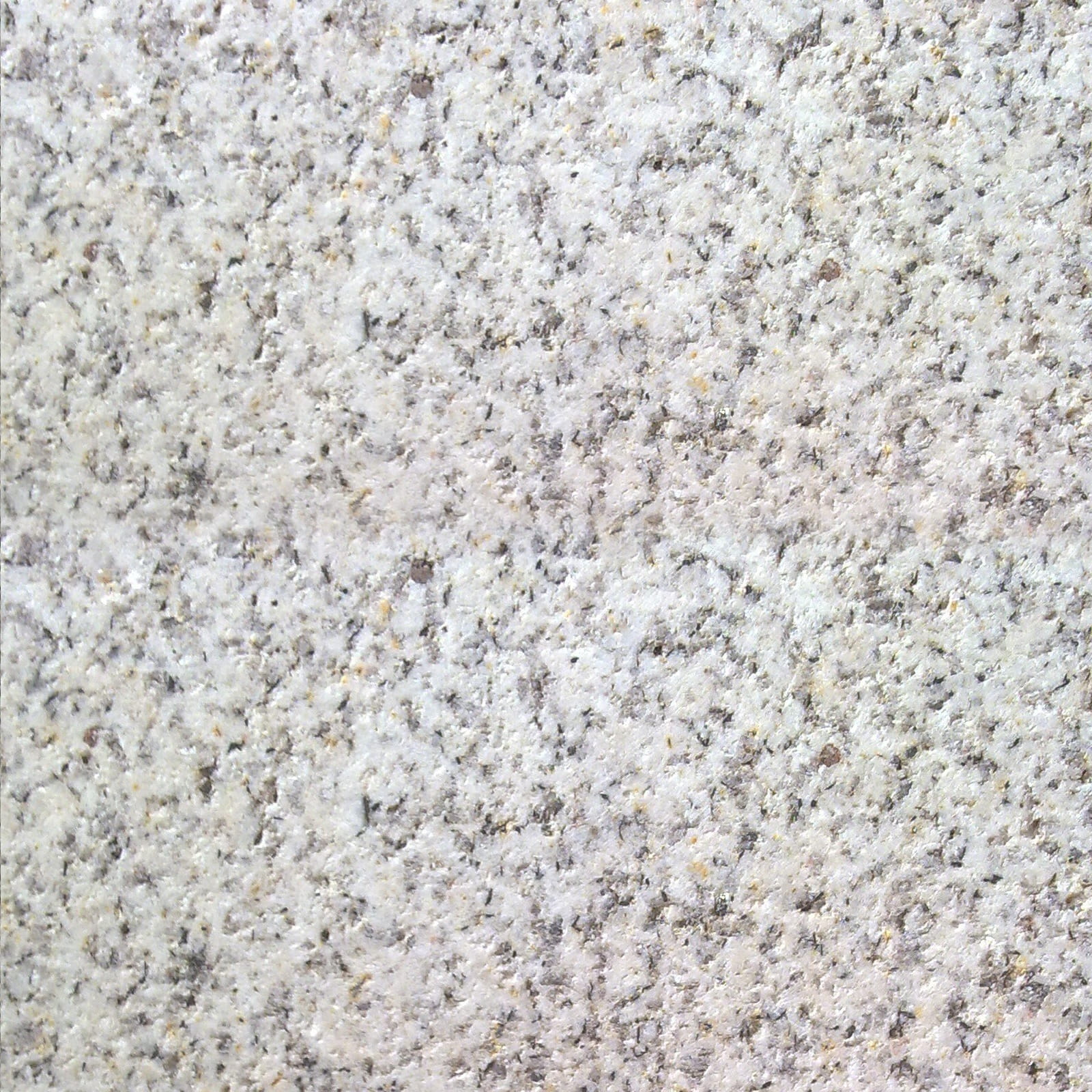 Shell White
