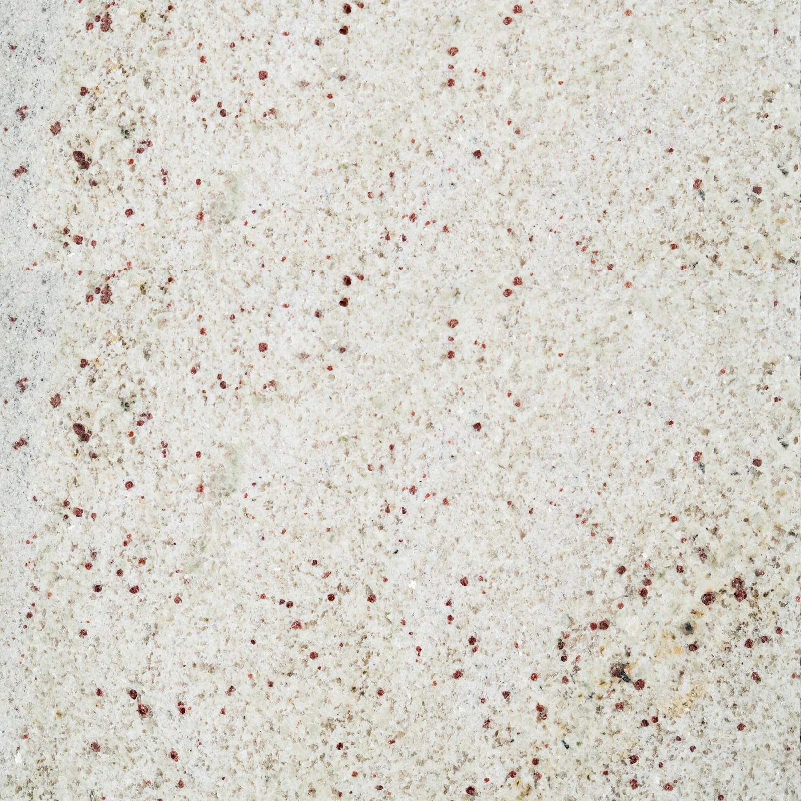 Kashmir White